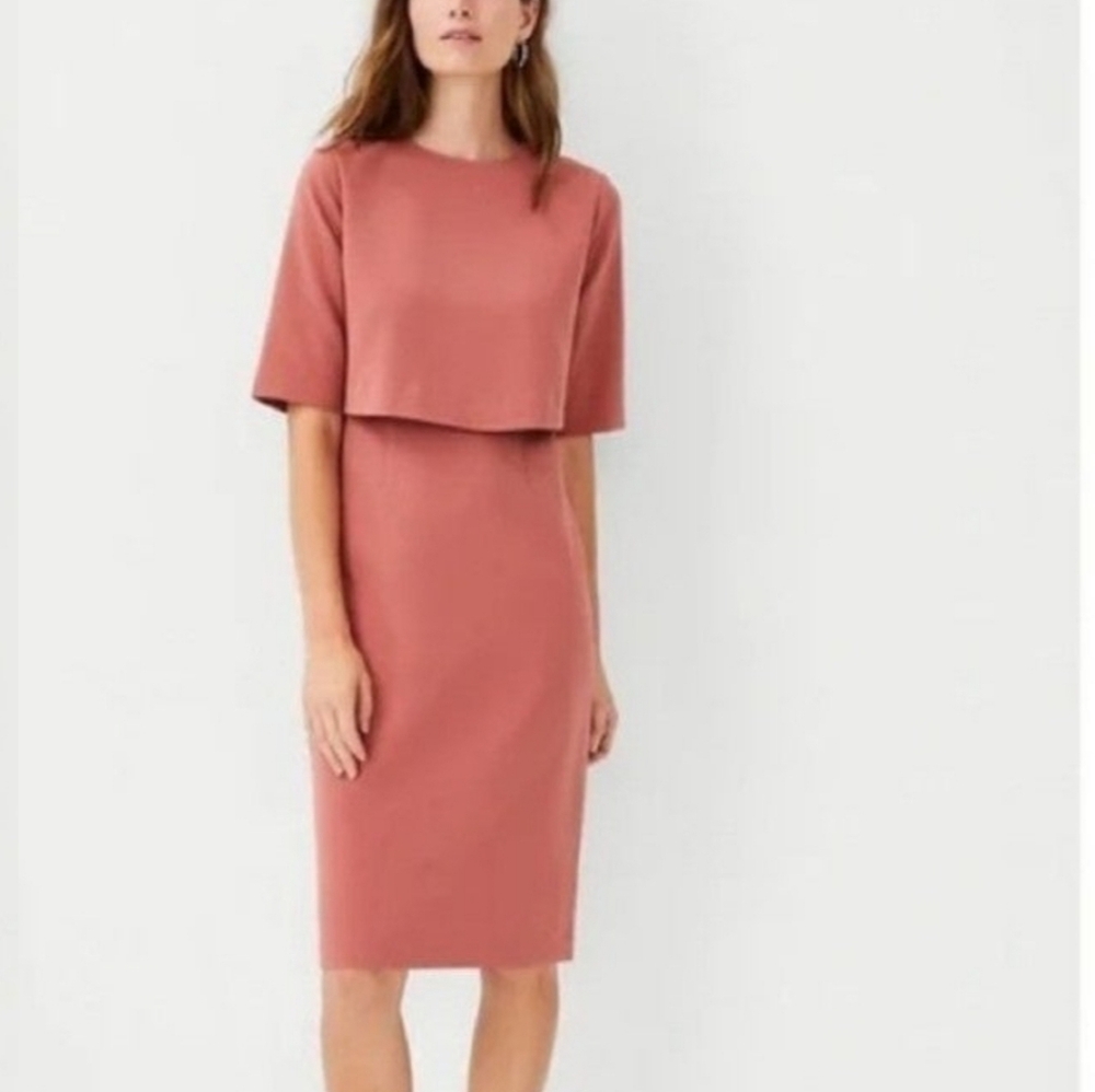 Ann Taylor Sheath Overlay Elbow Sleeve Dress